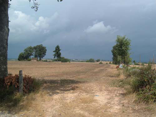 landschappen-vak2006_59